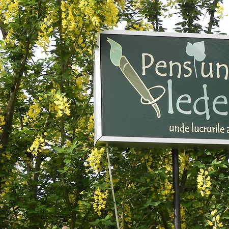 Iedera Casa De Familii 1 Hotel Pianu de Sus Ngoại thất bức ảnh