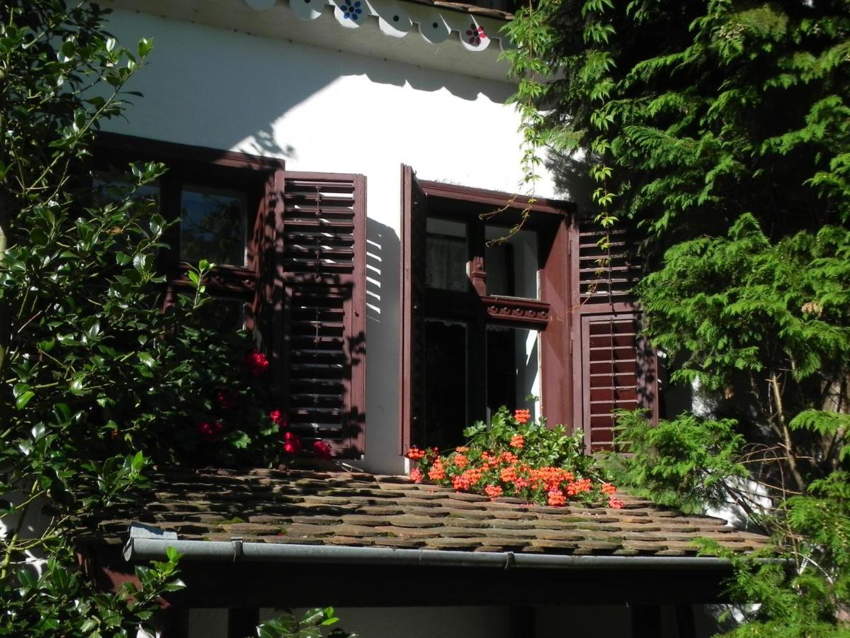 Iedera Casa De Familii 1 Hotel Pianu de Sus Ngoại thất bức ảnh