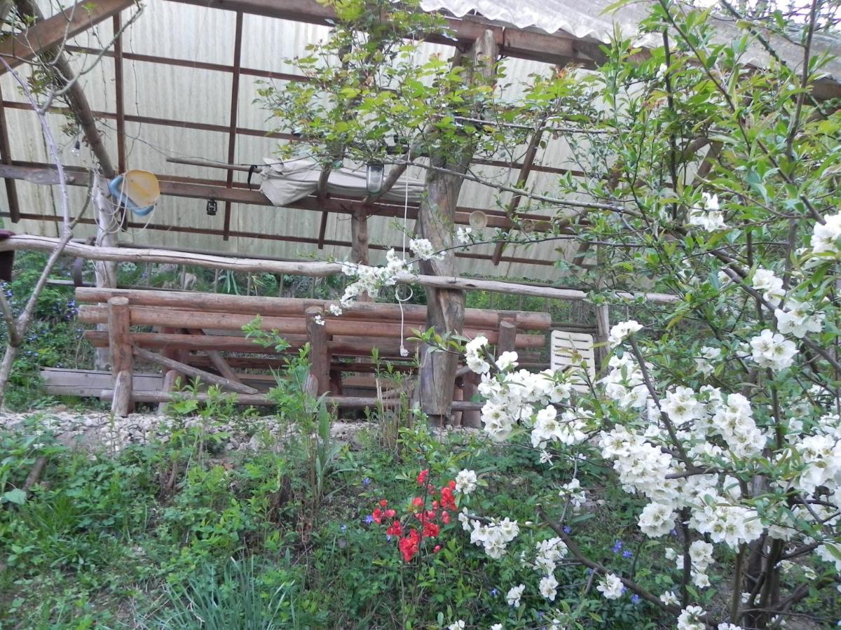 Iedera Casa De Familii 1 Hotel Pianu de Sus Ngoại thất bức ảnh