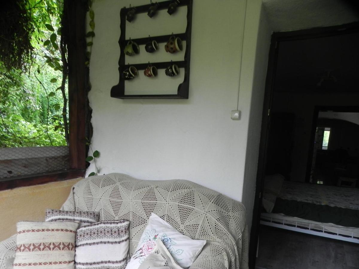 Iedera Casa De Familii 1 Hotel Pianu de Sus Ngoại thất bức ảnh