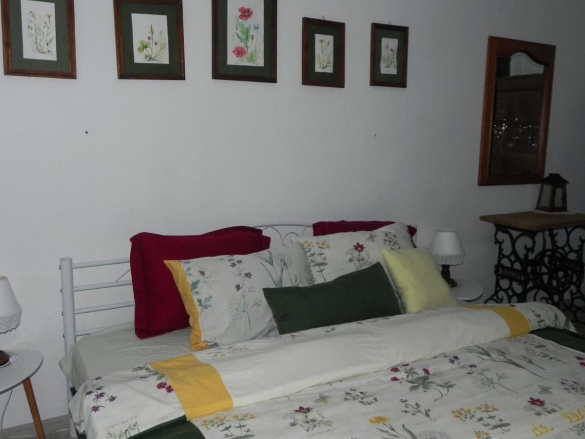 Iedera Casa De Familii 1 Hotel Pianu de Sus Ngoại thất bức ảnh