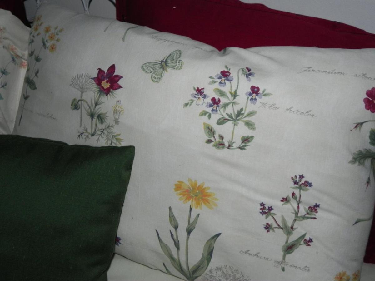 Iedera Casa De Familii 1 Hotel Pianu de Sus Ngoại thất bức ảnh