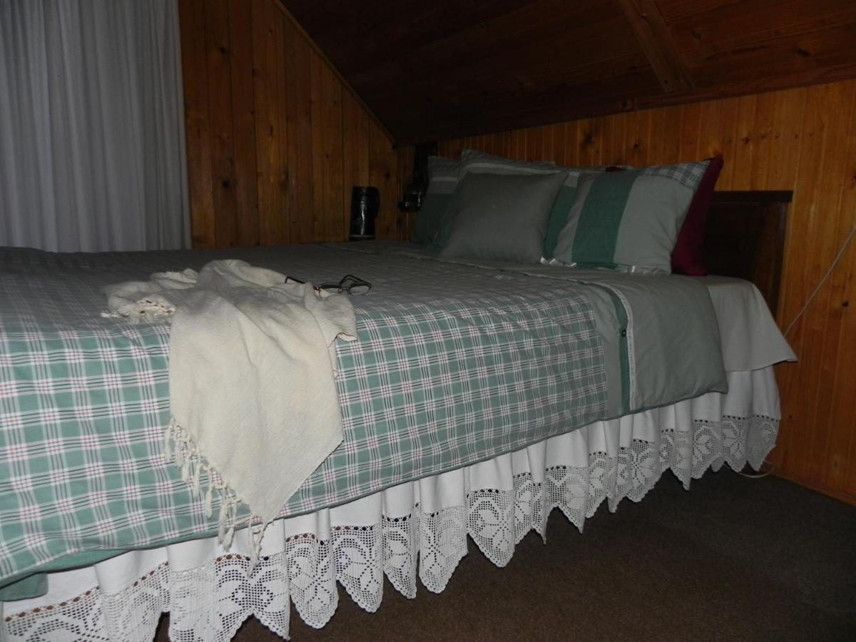 Iedera Casa De Familii 1 Hotel Pianu de Sus Ngoại thất bức ảnh